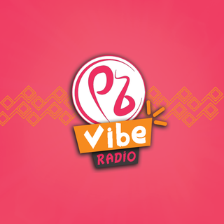 Vibe Radio logo — afspelen.nl